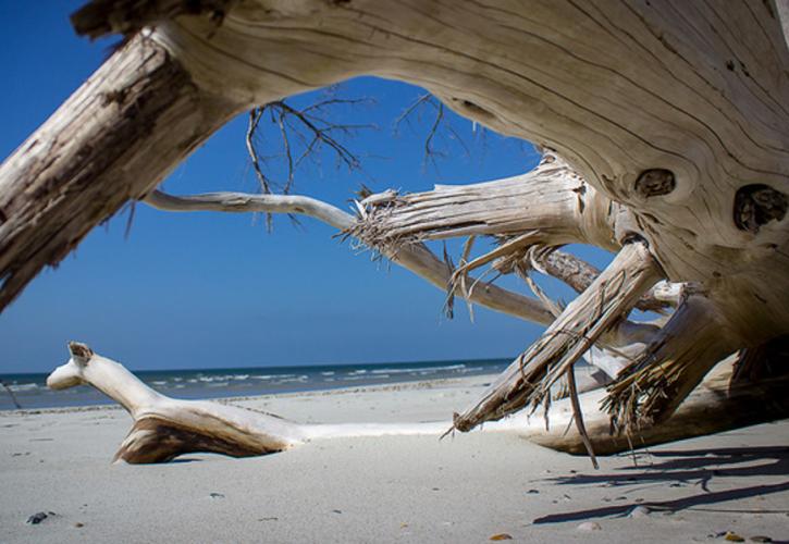 Little Talbot Island State Park Florida State Parks